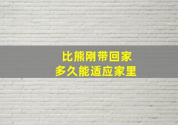 比熊刚带回家多久能适应家里