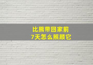 比熊带回家前7天怎么照顾它