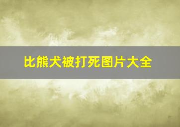 比熊犬被打死图片大全