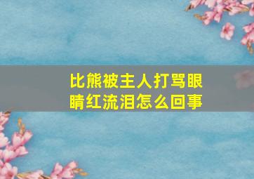 比熊被主人打骂眼睛红流泪怎么回事