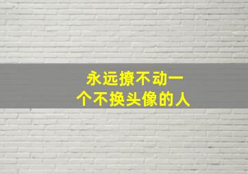 永远撩不动一个不换头像的人