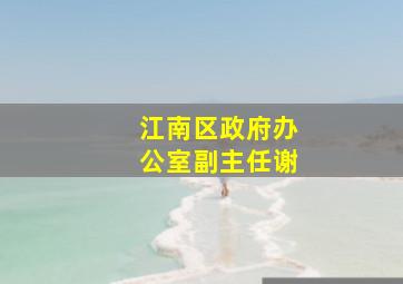 江南区政府办公室副主任谢