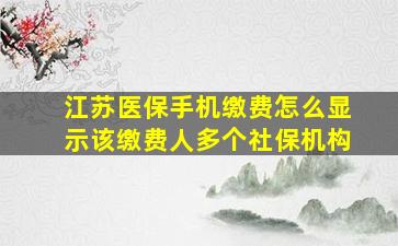 江苏医保手机缴费怎么显示该缴费人多个社保机构