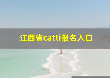 江西省catti报名入口