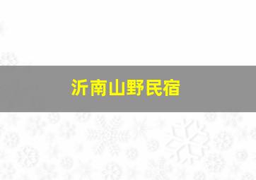 沂南山野民宿