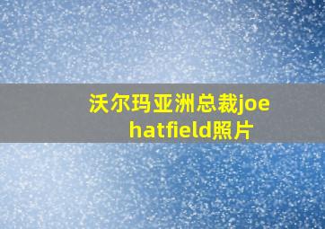 沃尔玛亚洲总裁joehatfield照片