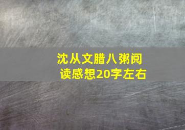 沈从文腊八粥阅读感想20字左右