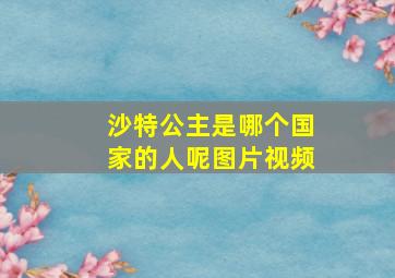 沙特公主是哪个国家的人呢图片视频