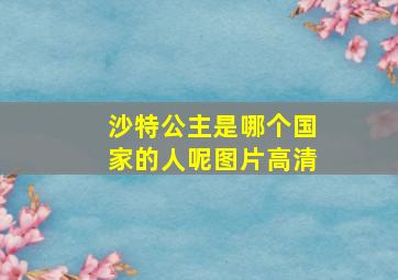 沙特公主是哪个国家的人呢图片高清