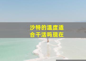 沙特的温度适合干活吗现在