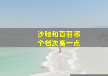 沙驰和百丽哪个档次高一点