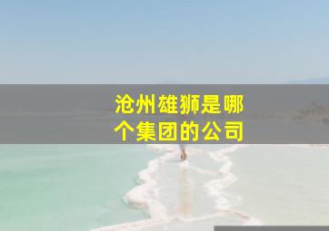 沧州雄狮是哪个集团的公司