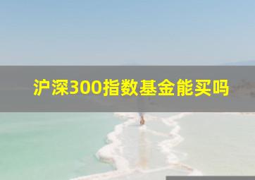 沪深300指数基金能买吗