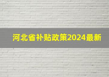 河北省补贴政策2024最新