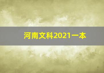 河南文科2021一本