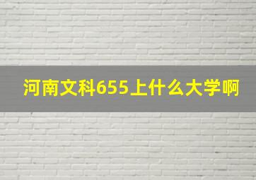 河南文科655上什么大学啊