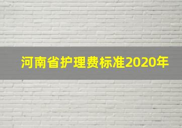 河南省护理费标准2020年