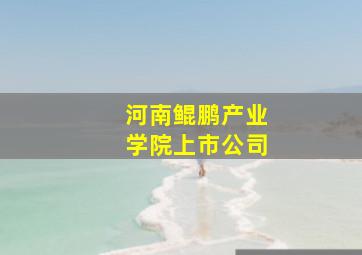 河南鲲鹏产业学院上市公司