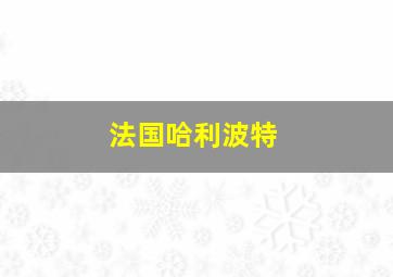 法国哈利波特