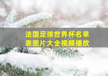 法国足球世界杯名单表图片大全视频播放