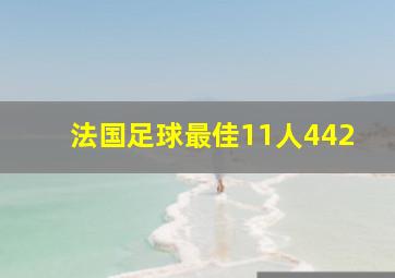 法国足球最佳11人442