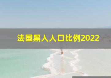 法国黑人人口比例2022