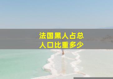 法国黑人占总人口比重多少