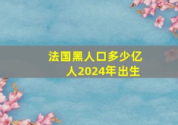 法国黑人口多少亿人2024年出生