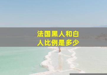 法国黑人和白人比例是多少