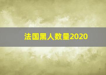 法国黑人数量2020