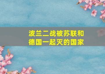 波兰二战被苏联和德国一起灭的国家