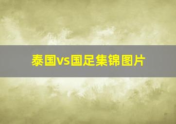 泰国vs国足集锦图片