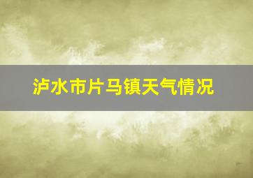 泸水市片马镇天气情况