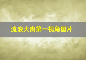 流浪大街第一视角图片