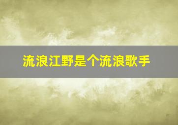 流浪江野是个流浪歌手