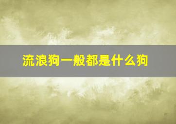 流浪狗一般都是什么狗