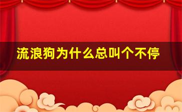 流浪狗为什么总叫个不停