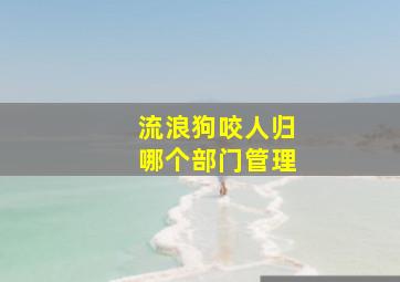 流浪狗咬人归哪个部门管理