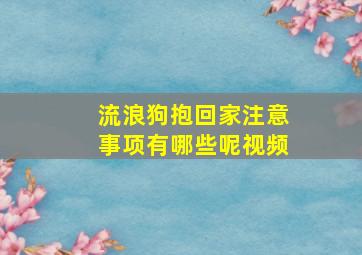 流浪狗抱回家注意事项有哪些呢视频