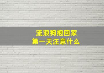 流浪狗抱回家第一天注意什么