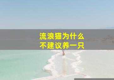 流浪猫为什么不建议养一只