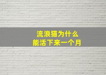 流浪猫为什么能活下来一个月