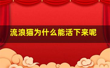 流浪猫为什么能活下来呢