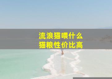 流浪猫喂什么猫粮性价比高