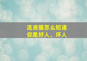 流浪猫怎么知道你是好人、坏人