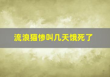 流浪猫惨叫几天饿死了