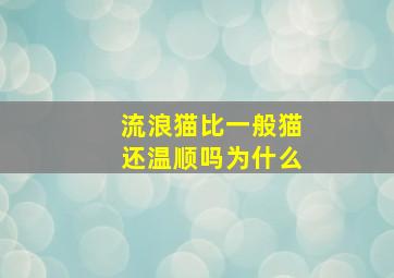 流浪猫比一般猫还温顺吗为什么