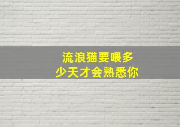 流浪猫要喂多少天才会熟悉你