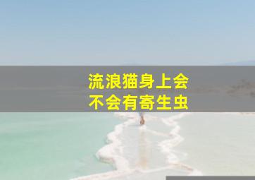 流浪猫身上会不会有寄生虫