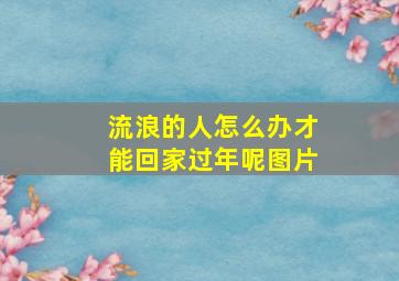 流浪的人怎么办才能回家过年呢图片